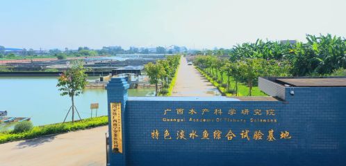 武鸣基地1