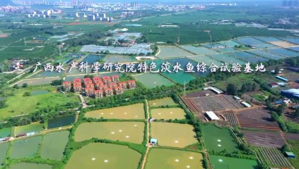 武鸣基地