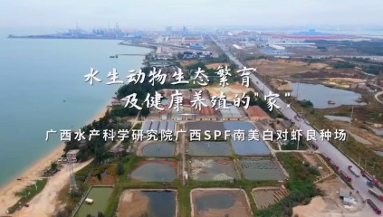 广西水产科学研究院防城港海水养殖研发基地