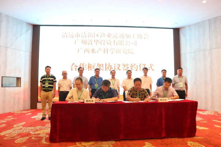 我院与两家单位签订合作框架协议