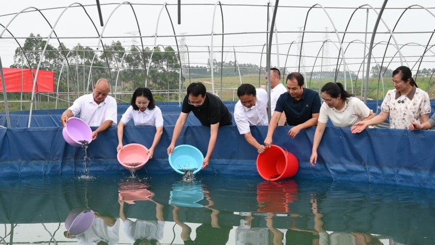 科技赋能渔业提质增效 良种护航乡村产业振兴